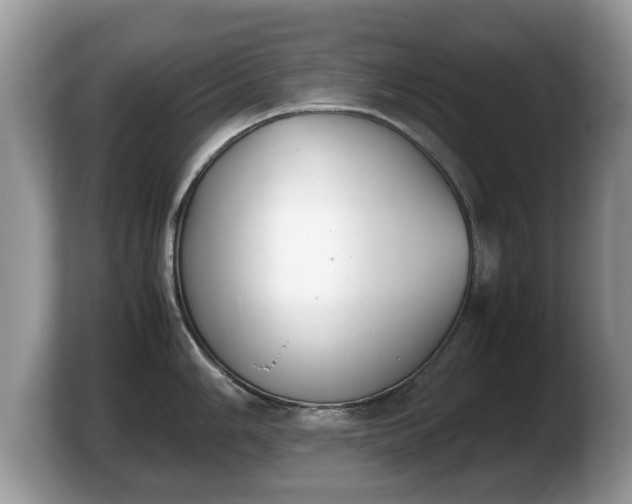 X0000103901006200809261546