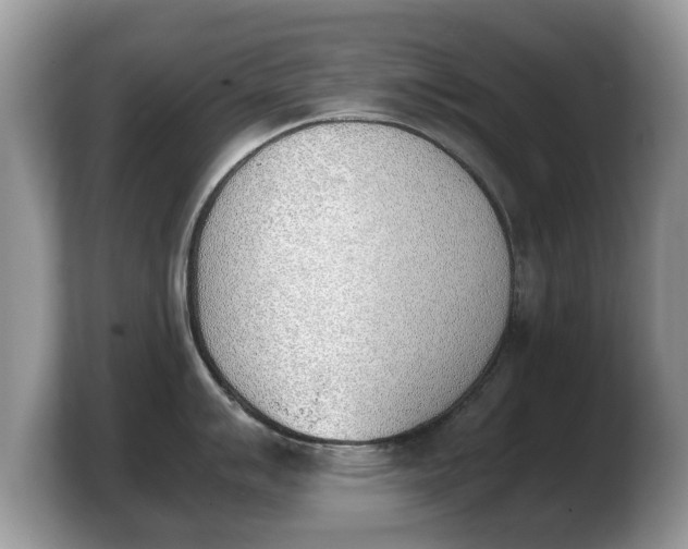 X0000103901007200809261546