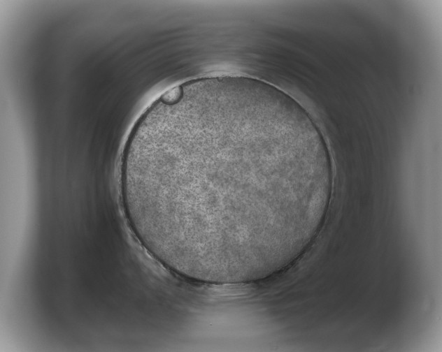 X0000103901008200809261546