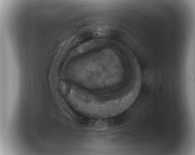 X0000103901009200809261545