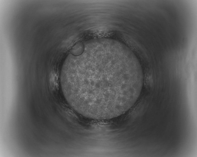 X0000103901010200809261545