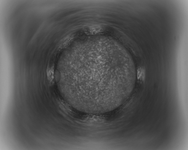 X0000103901011200809261545