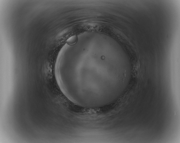 X0000103901013200809261545
