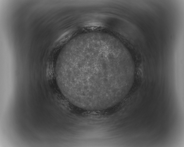 X0000103901014200809261545