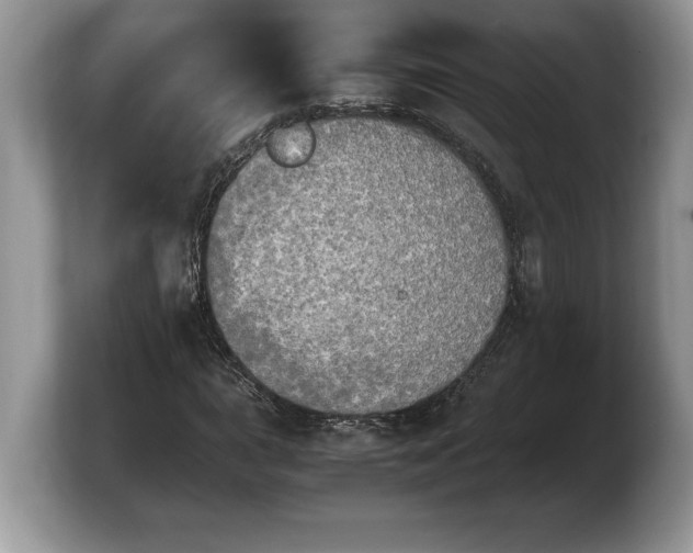 X0000103901015200809261545