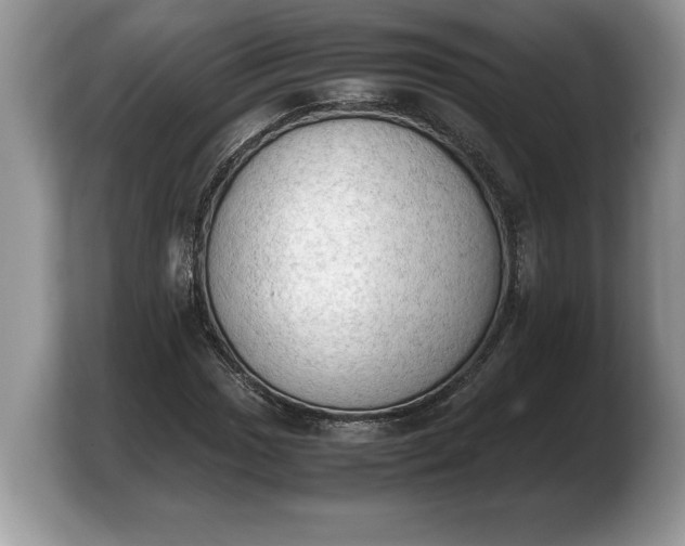 X0000103901017200809261545