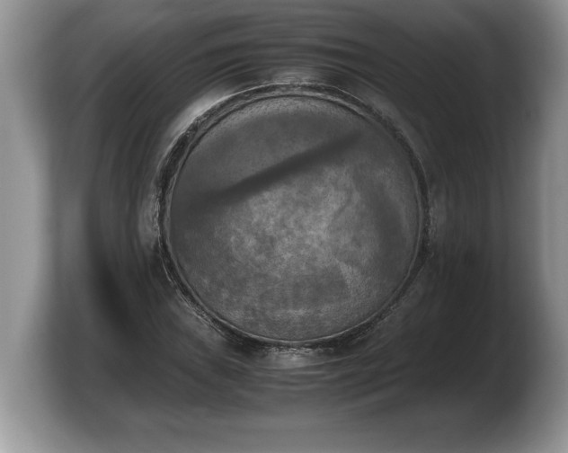 X0000103901019200809261545