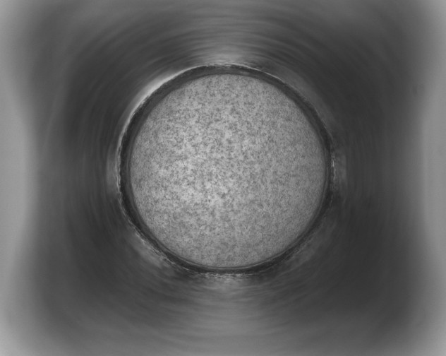 X0000103901020200809261545