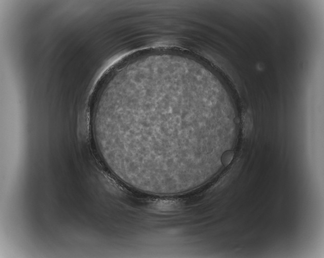 X0000103901021200809261545