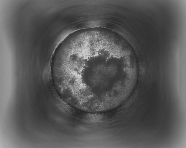 X0000103901023200809261545