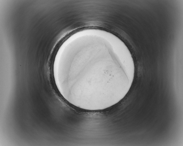 X0000103901024200809261545