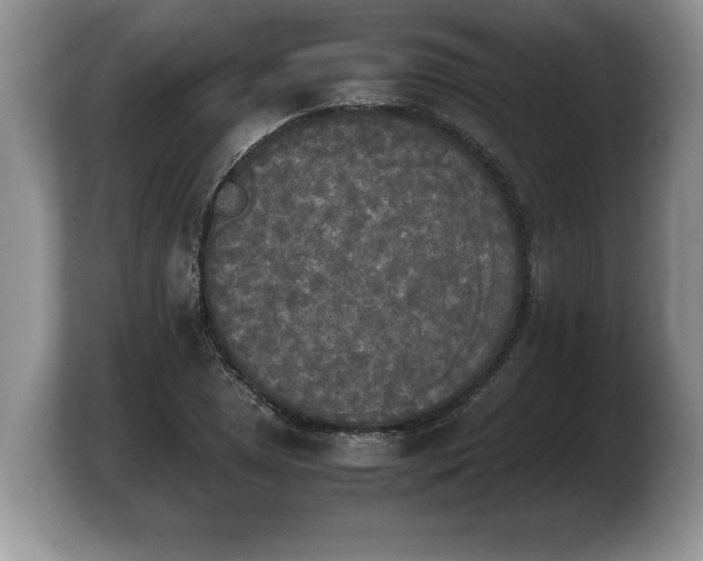 X0000103901025200809261545