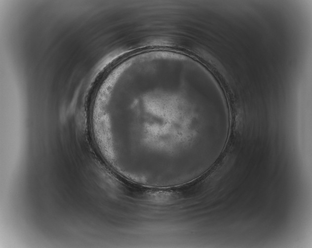 X0000103901027200809261545