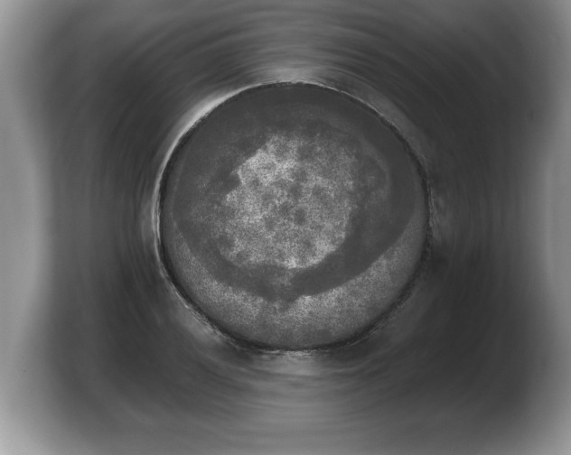 X0000103901028200809261545
