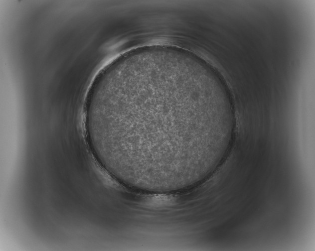 X0000103901029200809261545