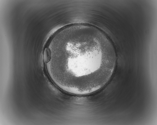 X0000103901030200809261545
