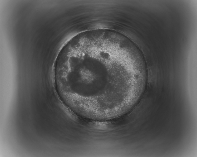 X0000103901031200809261545