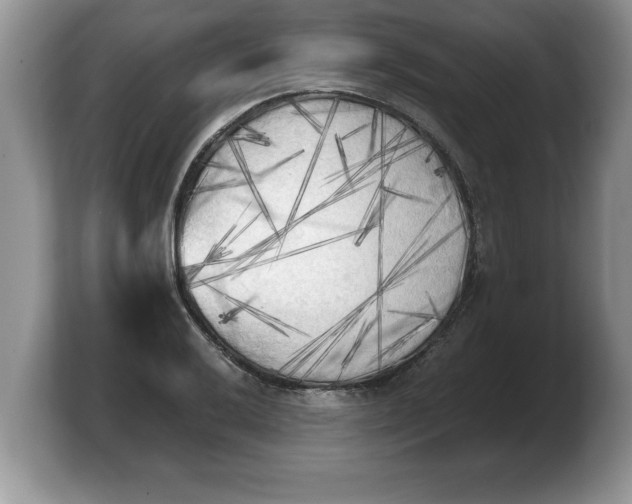 X0000103901032200809261545