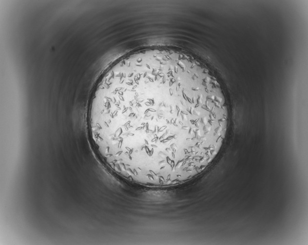 X0000103901033200809261545