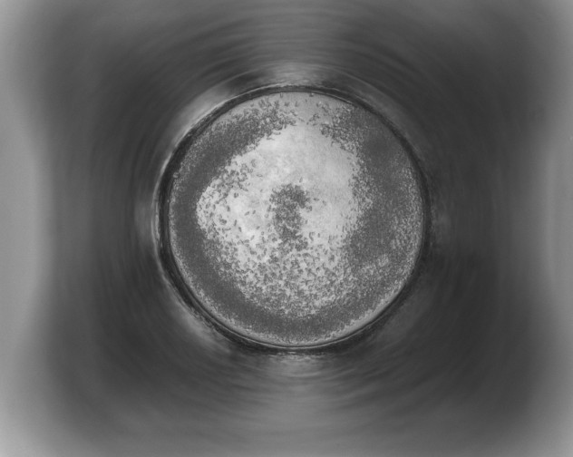 X0000103901034200809261545