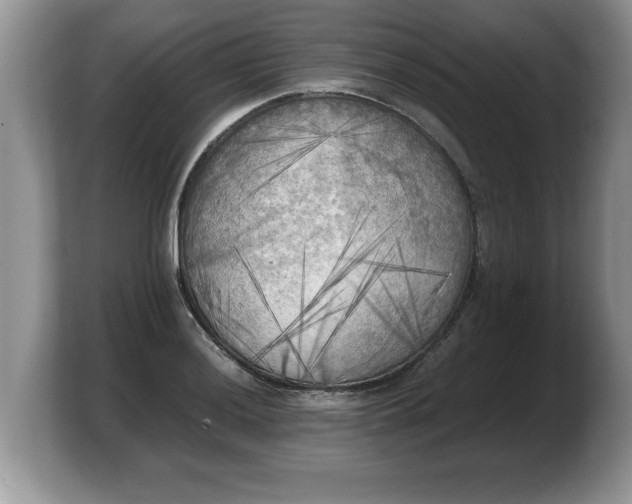 X0000103901036200809261545