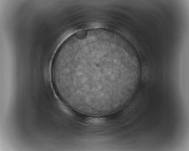 X0000103901039200809261545