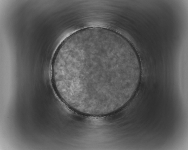 X0000103901040200809261545