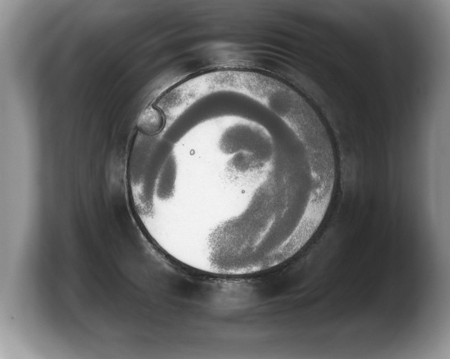 X0000103901041200809261545