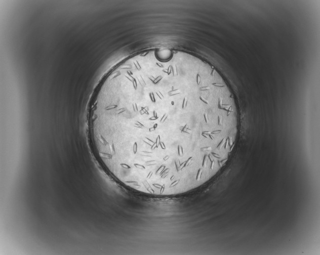 X0000103901042200809261545