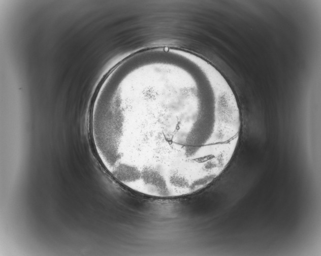 X0000103901044200809261545