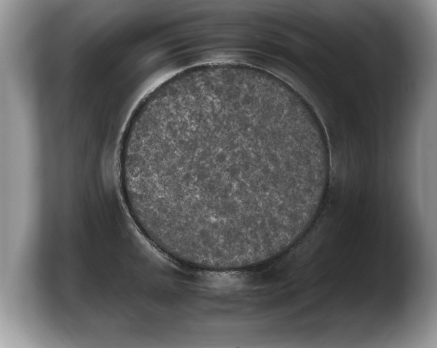 X0000103901045200809261545
