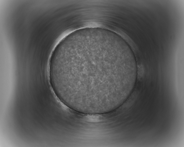 X0000103901046200809261545