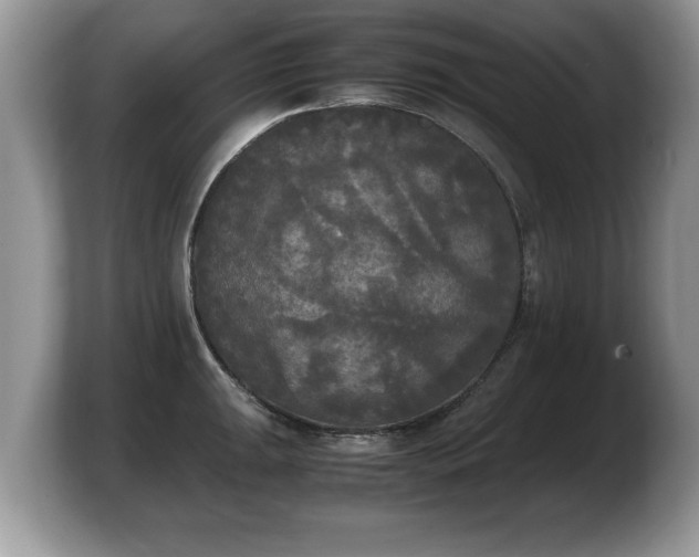 X0000103901047200809261545
