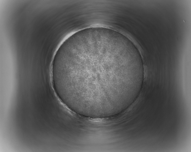 X0000103901048200809261545