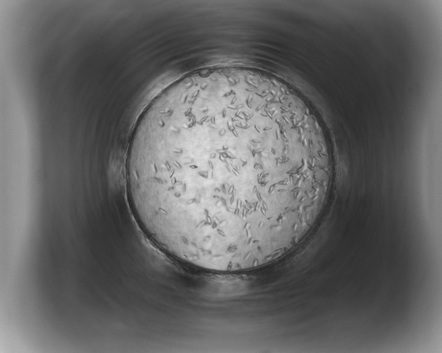 X0000103901049200809261545