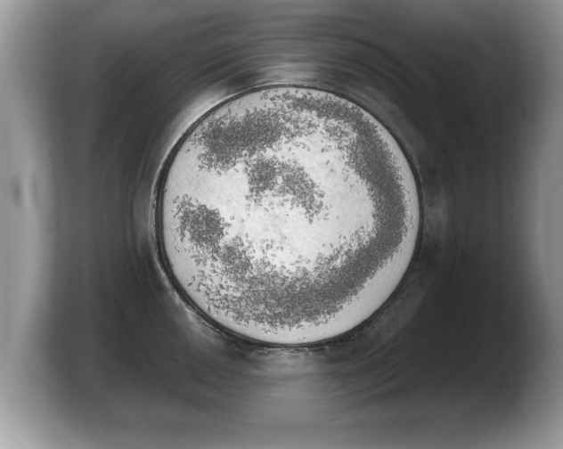 X0000103901050200809261545