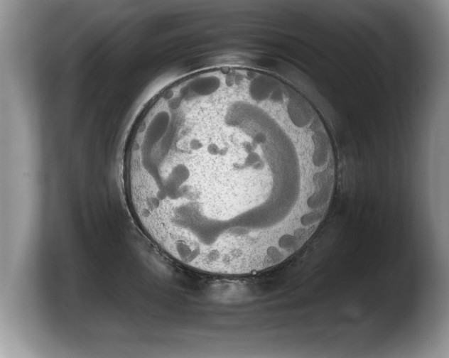 X0000103901051200809261545