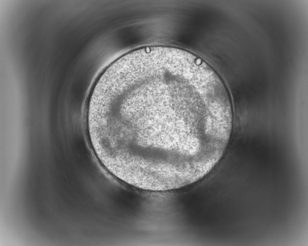 X0000103901053200809261545