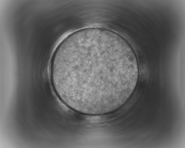 X0000103901054200809261545