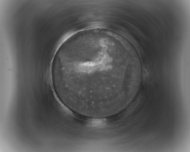 X0000103901055200809261546