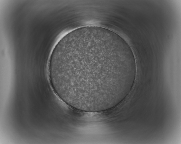 X0000103901056200809261546