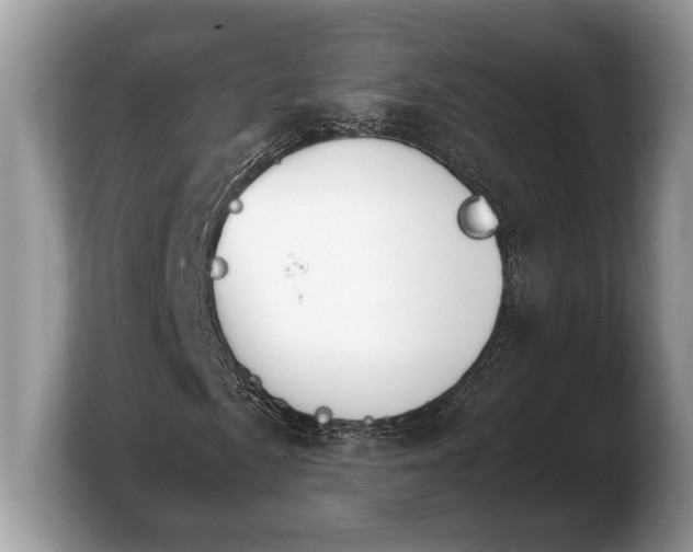 X0000103901057200809261545