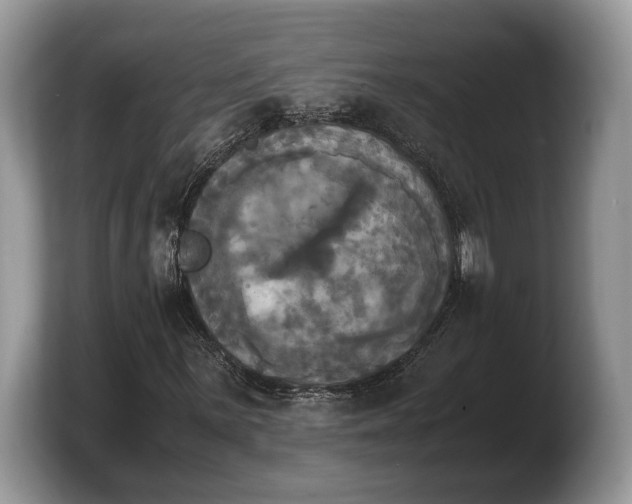 X0000103901059200809261545