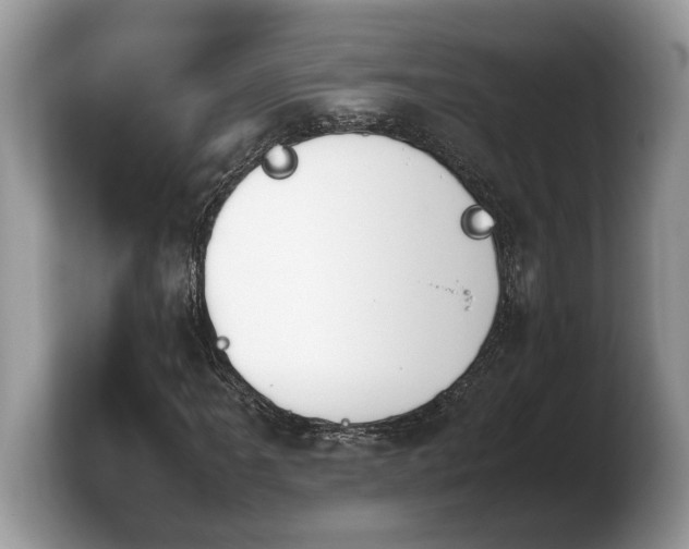 X0000103901061200809261545