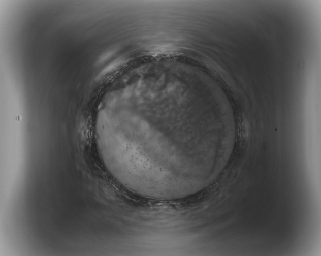 X0000103901063200809261545