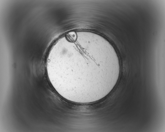X0000103901067200809261545