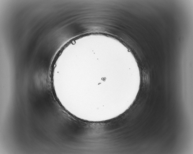 X0000103901068200809261545