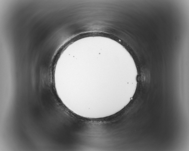 X0000103901069200809261545