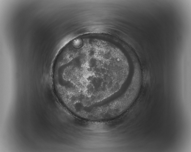 X0000103901071200809261545