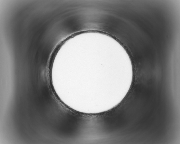 X0000103901072200809261545